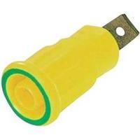 Safety jack socket Socket, vertical vertical Pin diameter: 4 mm Green-yellow MultiContact 23.3150-20 1 pc(s)