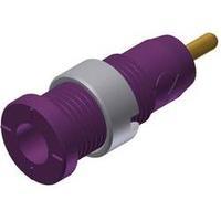 Safety jack socket Socket, vertical vertical Pin diameter: 2 mm Violet SKS Hirschmann MSEB 2630 S 1, 9 Au 1 pc(s)