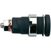 Safety jack socket Socket, vertical vertical Pin diameter: 4 mm Black Schützinger SEB 6445 Ni / SW 1 pc(s)