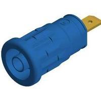 Safety jack socket Socket, vertical vertical Pin diameter: 4 mm Blue SKS Hirschmann SEP 2610 F4.8 1 pc(s)