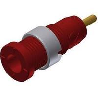 Safety jack socket Socket, vertical vertical Pin diameter: 2 mm Red SKS Hirschmann MSEB 2630 S 1, 9 Au 1 pc(s)