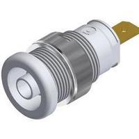 Safety jack socket Socket, vertical vertical Pin diameter: 4 mm White SKS Hirschmann SEB 2610 F4.8 1 pc(s)