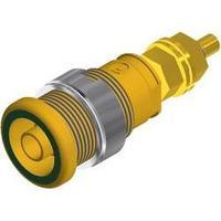 Safety jack socket Socket, vertical vertical Pin diameter: 4 mm Green-yellow SKS Hirschmann SEB 2600 G M4 1 pc(s)