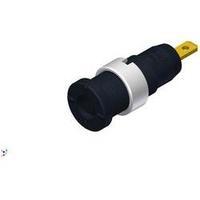 Safety jack socket Socket, vertical vertical Pin diameter: 2 mm Black SKS Hirschmann MSEB 2610 F 2, 8 Au 1 pc(s)