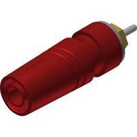 Safety jack socket Socket, vertical vertical Pin diameter: 4 mm Red SKS Hirschmann SAB 2630 S1, 9 Au 1 pc(s)