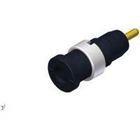 Safety jack socket Socket, vertical vertical Pin diameter: 2 mm Black SKS Hirschmann MSEB 2630 S 1, 9 Au 1 pc(s)