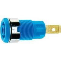 Safety jack socket Socket, vertical vertical Pin diameter: 4 mm Blue MultiContact SLB 4-F6.3 1 pc(s)