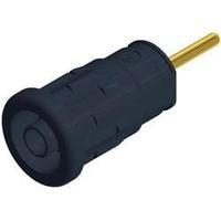 Safety jack socket Socket, vertical vertical Pin diameter: 4 mm Black SKS Hirschmann SEP 2630 S1.9 1 pc(s)