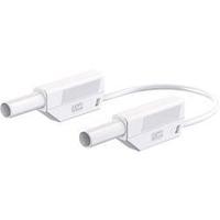 Safety test lead [ Banana jack 4 mm - Banana jack 4 mm] 0.50 m White MultiContact MultiContact