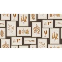 sanderson wallpapers fern gallery 215713