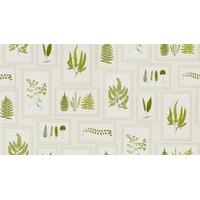 sanderson wallpapers fern gallery 215712