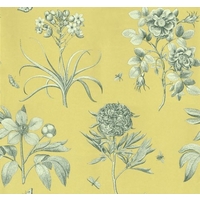 Sanderson Wallpapers Etchings and Roses, DPFWER104