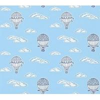 sanderson wallpapers balloons 214028