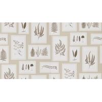 sanderson wallpapers fern gallery 215714