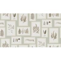 Sanderson Wallpapers Fern Gallery, 215715