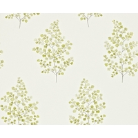 Sanderson Wallpapers Angel Ferns, 211998