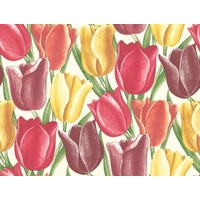 Sanderson Wallpapers Early Tulips, DVIWEA103