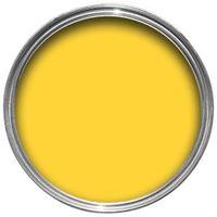 Sandtex Exterior Hot Mustard Gloss Wood & Metal Paint 750ml