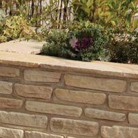 Sandstone Double Sided Coping Fossil Buff (L)450mm (T)35-40mm Pack of 28