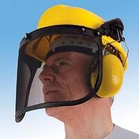 Safety Helmet with Ear Protectors