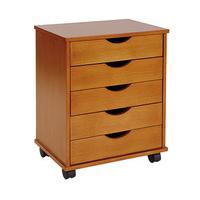 salisbury 5 drawer rolling storage unit