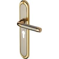 Saturn Euro Profile Door Handle (Set of 2) Finish: Jupiter Split, Size: 24.7 cm H x 4.8 cm W