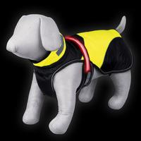 Safety Flash Dog Coat