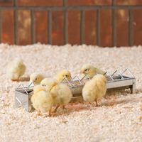 Savic Daisy Zinc Plated Chicken Feeder