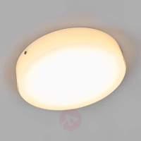 Satin-finished LED glass ceiling lamp Sole