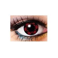 Sakura Jiro 90 Day Lenses