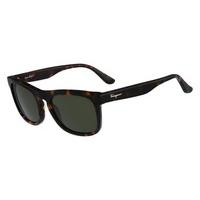 Salvatore Ferragamo Sunglasses SF 776S 281