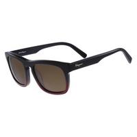 Salvatore Ferragamo Sunglasses SF 789S 012