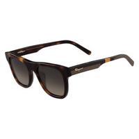 salvatore ferragamo sunglasses sf 824s 214