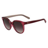 Salvatore Ferragamo Sunglasses SF 833S 613