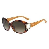 Salvatore Ferragamo Sunglasses SF 669SA 238