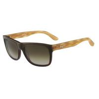 Salvatore Ferragamo Sunglasses SF 686S 318