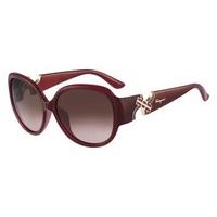 Salvatore Ferragamo Sunglasses SF 682SA 613