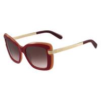 Salvatore Ferragamo Sunglasses SF 814S 631