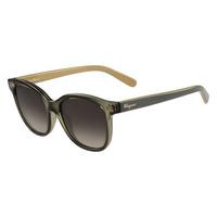 Salvatore Ferragamo Sunglasses SF 834S 323