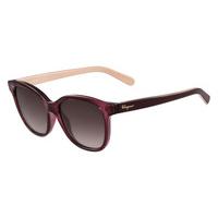 salvatore ferragamo sunglasses sf 834s 606