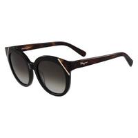 Salvatore Ferragamo Sunglasses SF 836S 006