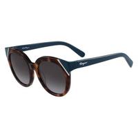 Salvatore Ferragamo Sunglasses SF 836S 253