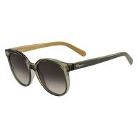 salvatore ferragamo sunglasses sf 833s 323