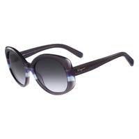 Salvatore Ferragamo Sunglasses SF 793S 025