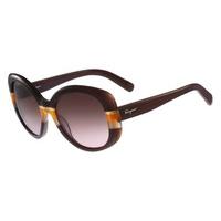 Salvatore Ferragamo Sunglasses SF 793S 230