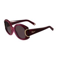 Salvatore Ferragamo Sunglasses SF 811S 605