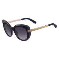 Salvatore Ferragamo Sunglasses SF 813S 449