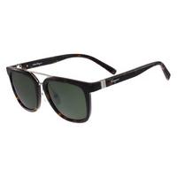 Salvatore Ferragamo Sunglasses SF 809SA 206