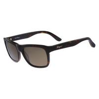 Salvatore Ferragamo Sunglasses SF 686SP Polarized 214