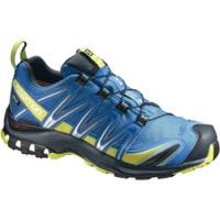 Salomon XA Pro 3D GTX cloisonné/imperial blue/sulphur spring